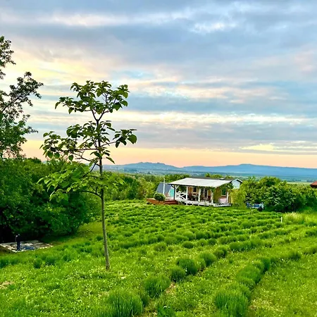 Lavender Eco At Balaton * Kisapati