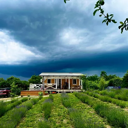 Lavender Eco át Balaton Kisapati