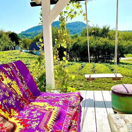 Lavender Eco At Balaton * Kisapati