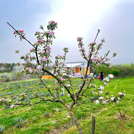 Casa vacanze Lavender Eco át Balaton Kisapati