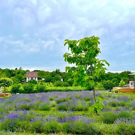 Holiday home Lavender Eco At Balaton *