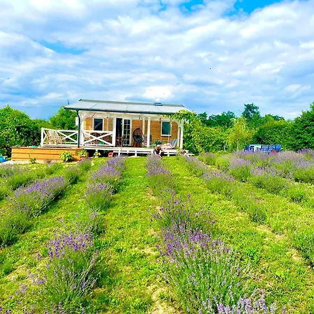 Lavender Eco át Balaton Casa vacanze Kisapati