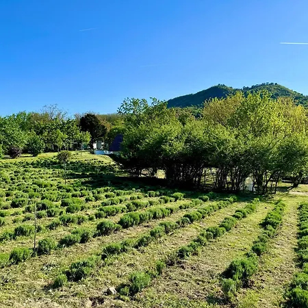 Lavender Eco At Balaton Kisapati
