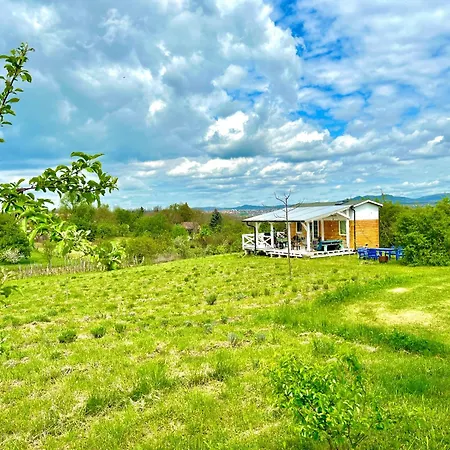 Holiday home Lavender Eco At Balaton