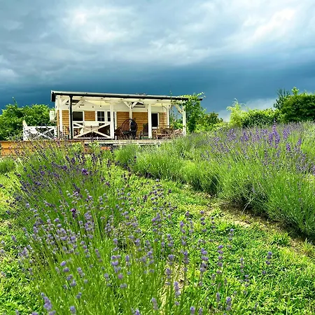Lavender Eco At Balaton