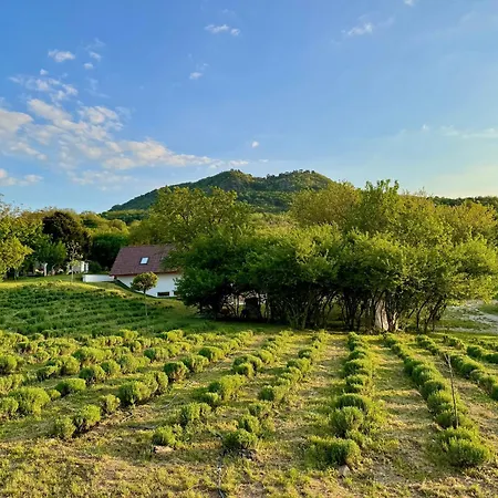 Lavender Eco At Balaton
