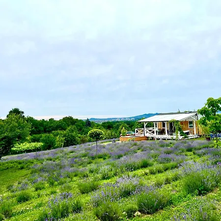 Lavender Eco At Balaton Prázdninový dům