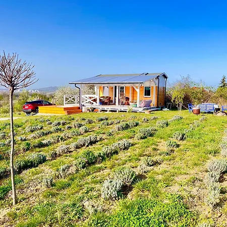 Lavender Eco At Balaton Holiday home *