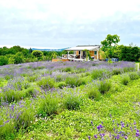 Lavender Eco At Balaton Holiday home