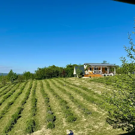 Lavender Eco At Balaton * Kisapati
