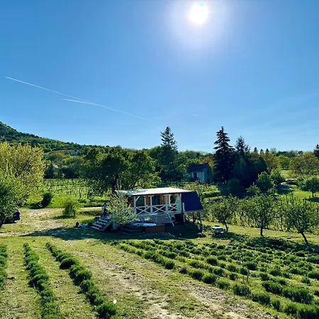 Lavender Eco At Balaton * Kisapati
