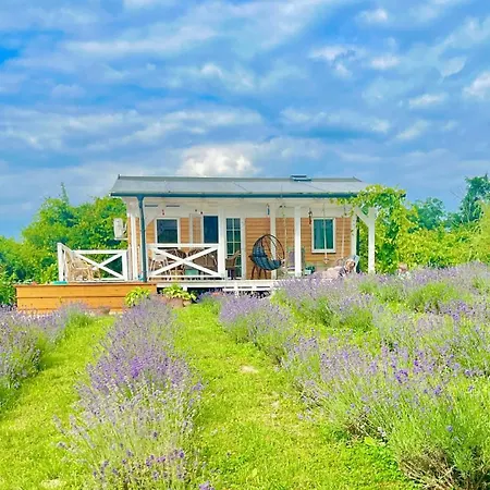 Holiday home Lavender Eco At Balaton Kisapati