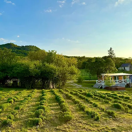 Lavender Eco At Balaton Prázdninový dům