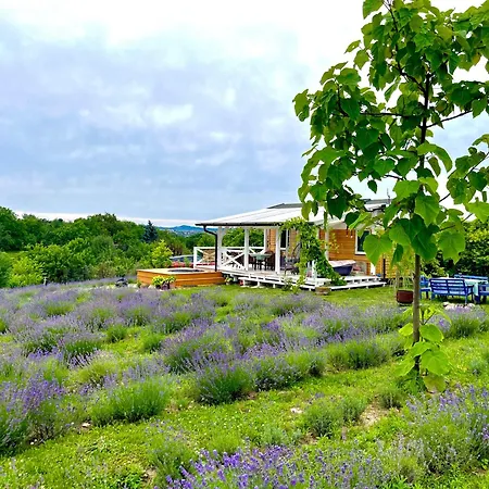 Lavender Eco At Balaton Prázdninový dům *